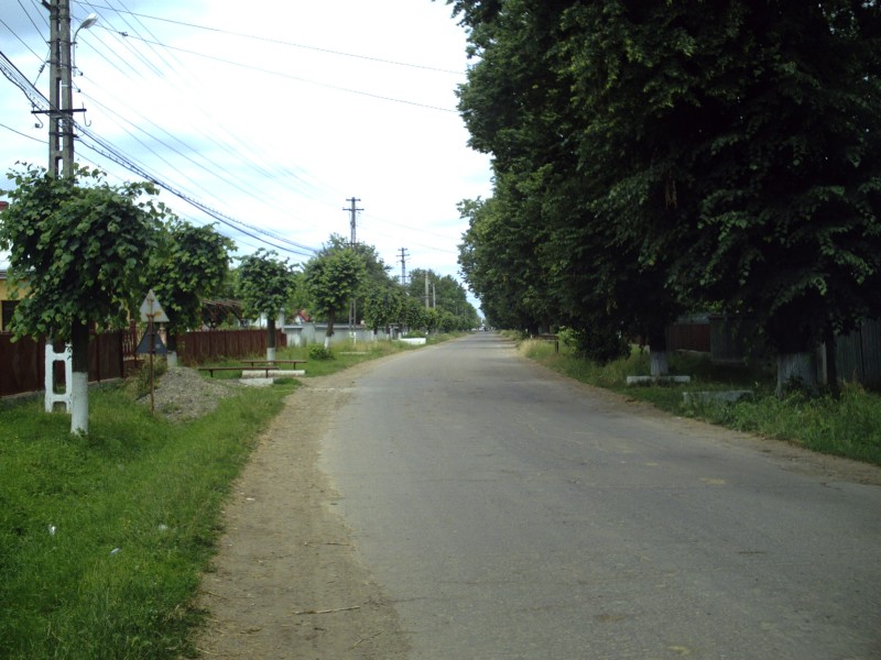 CRIM0224.JPG